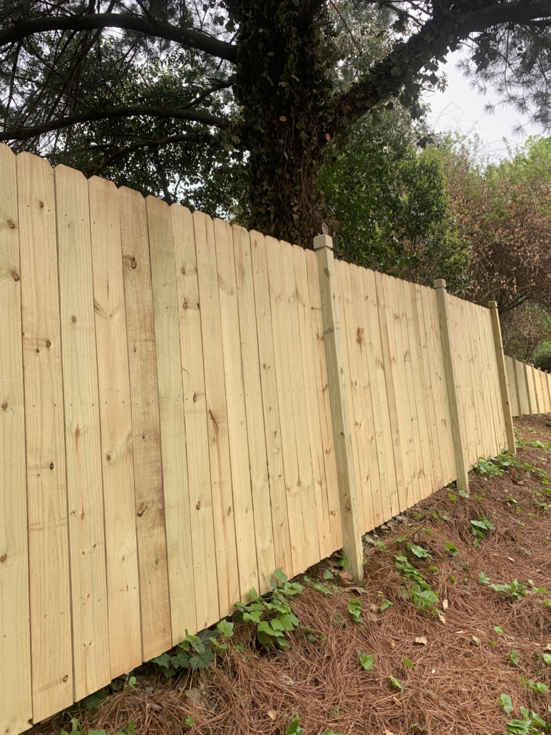 Dog Ear Privacy Fence with Dado Posts